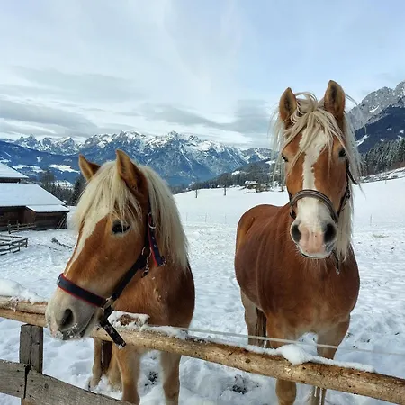 דירה Hochkoenigblick I
