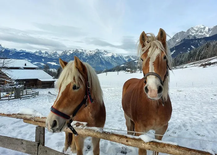Hochkoenigblick I Apartman Werfenweng